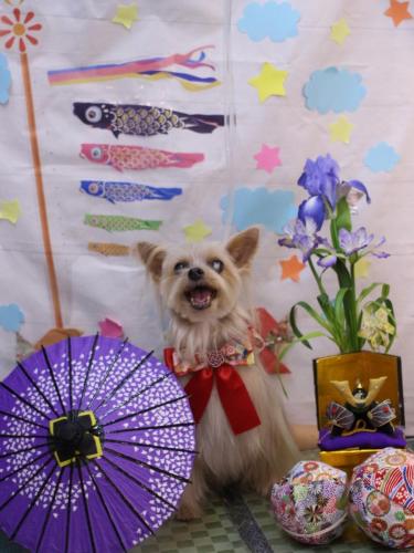 20250425ココちゃん